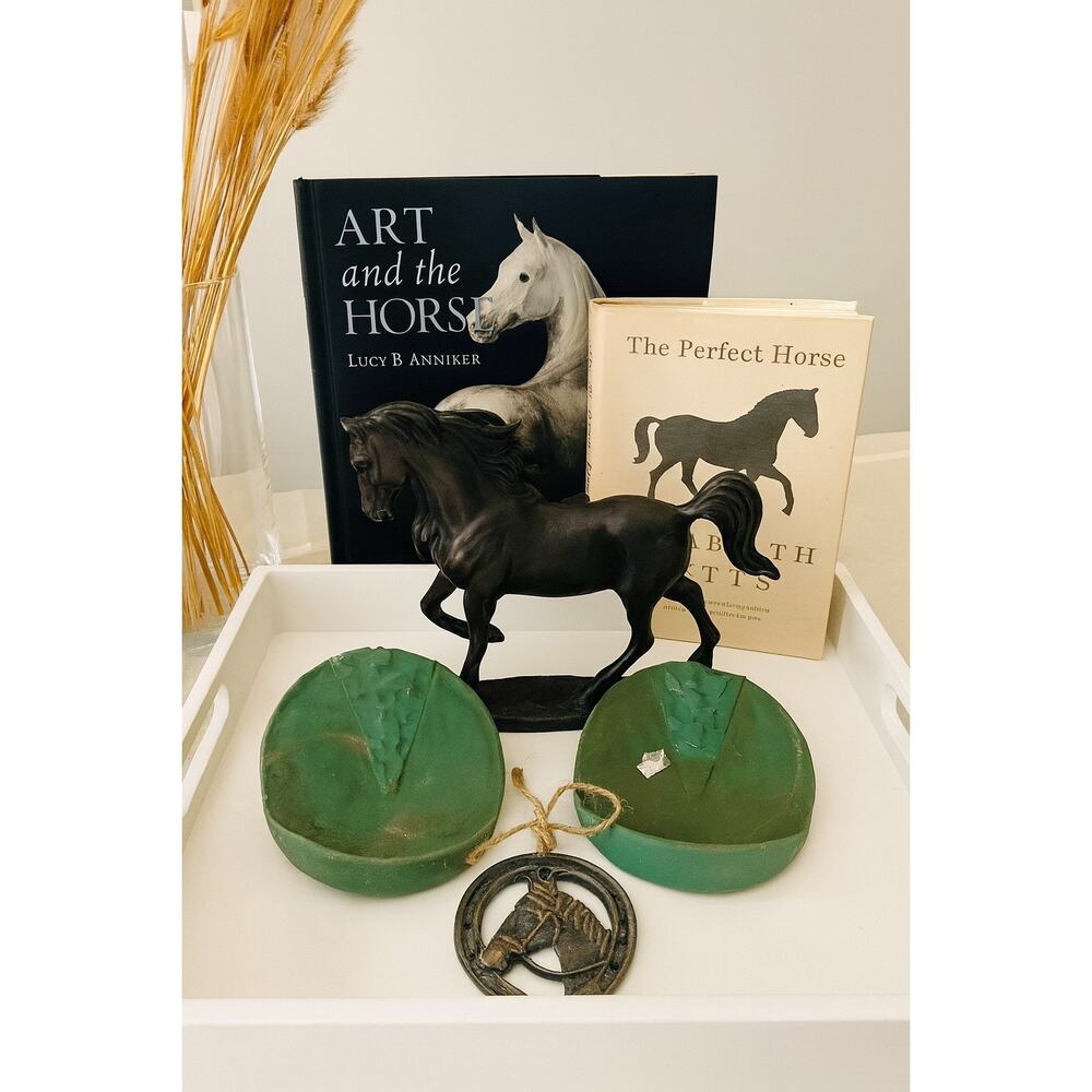 Therapeutic/ Rehabilitation Horse  Boot Inserts